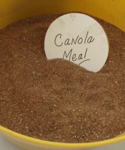 Canola Meal