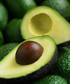 Fresh Avocado