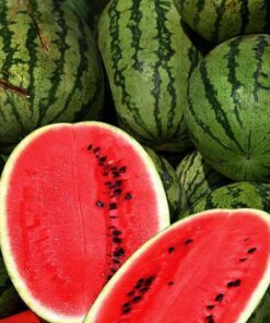 Fresh Watermelon