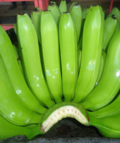 Green Cavendish Banana