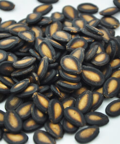 Watermelon Seed