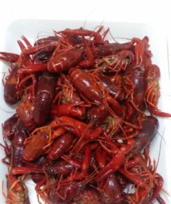 Crawfish