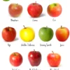 Apple Fruits