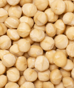Macadamia nut